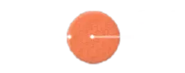 Sünger